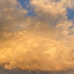 POSH SHOW ITEMS 30% OFF